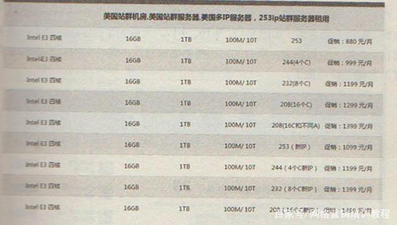 站群网站在当今互联网海洋中的生存之道