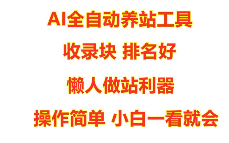 揭秘站群软件：电商运营者的得力助手