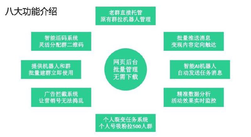 站群系统在网络营销中的革新应用