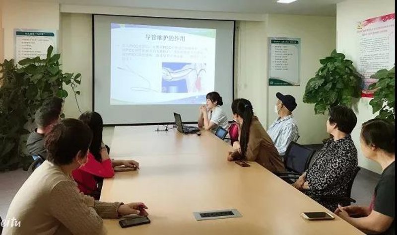 站群系统的应用与发展